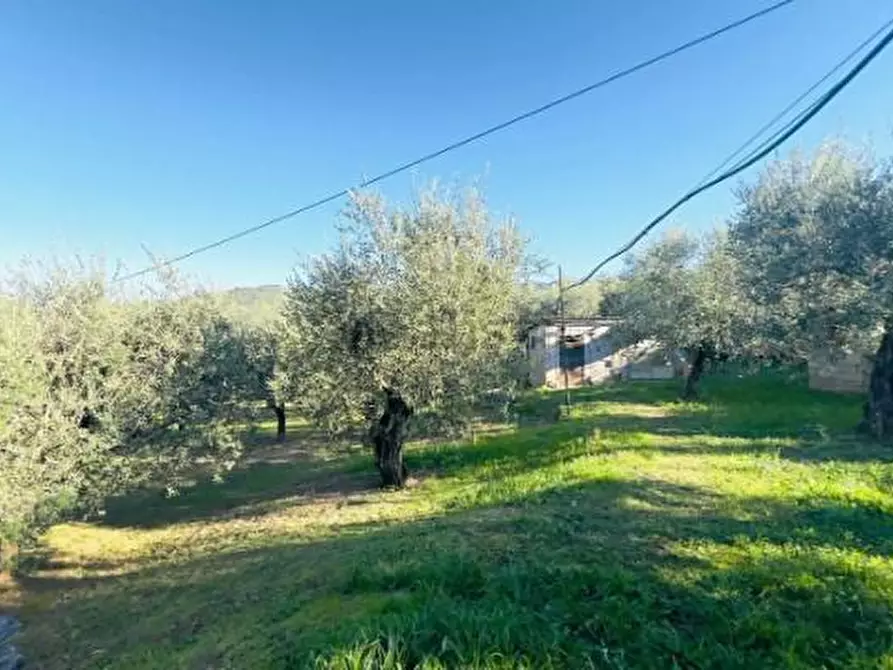 Immagine 4 di Casa colonica in vendita  a Larciano