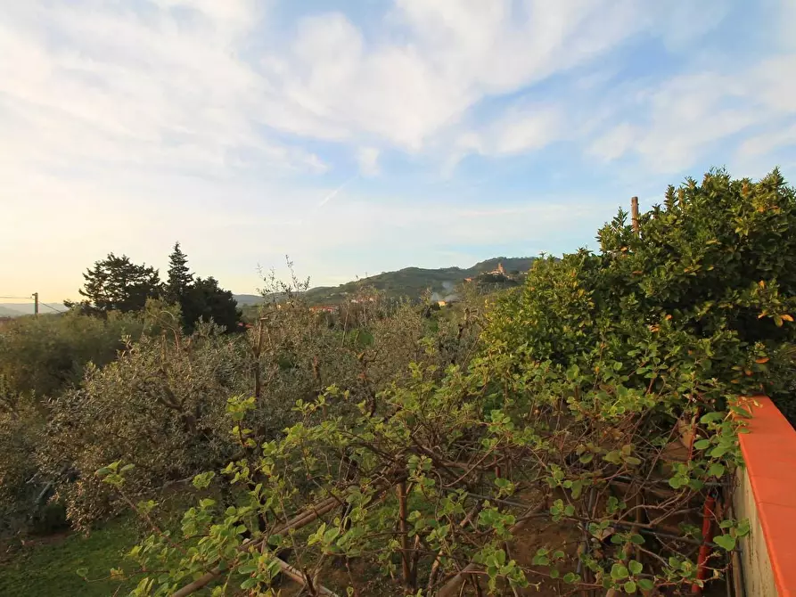 Immagine 3 di Casa colonica in vendita  a Larciano