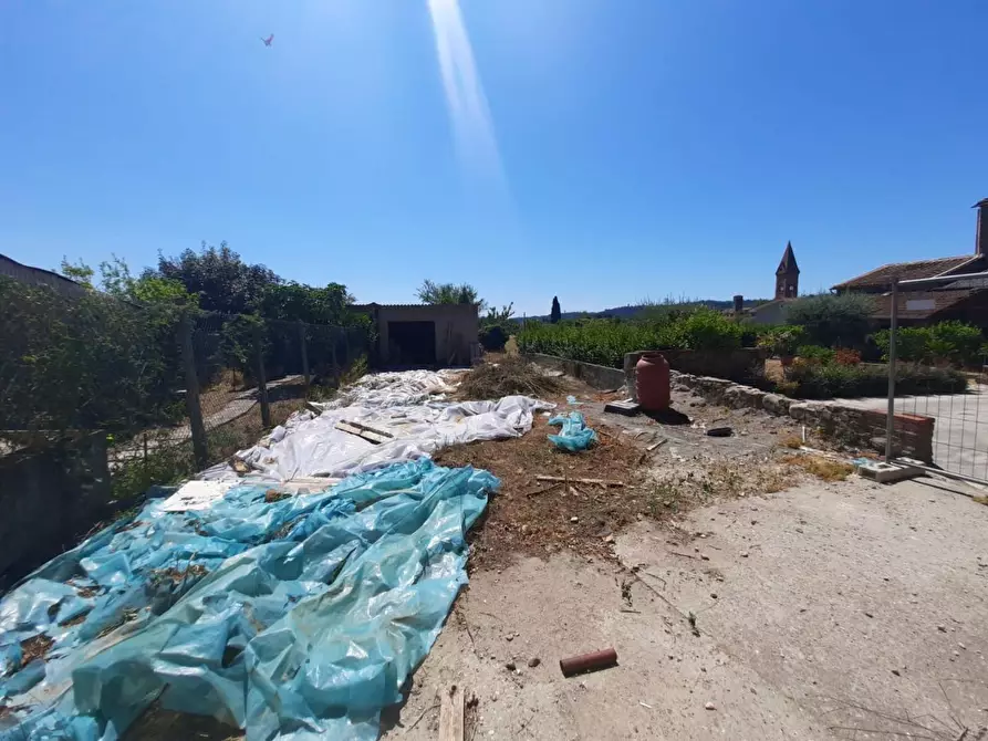 Immagine 2 di Terratetto in vendita  a Pescia