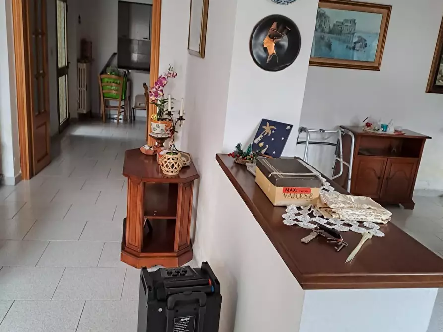 Immagine 18 di Terratetto in vendita  a Vecchiano