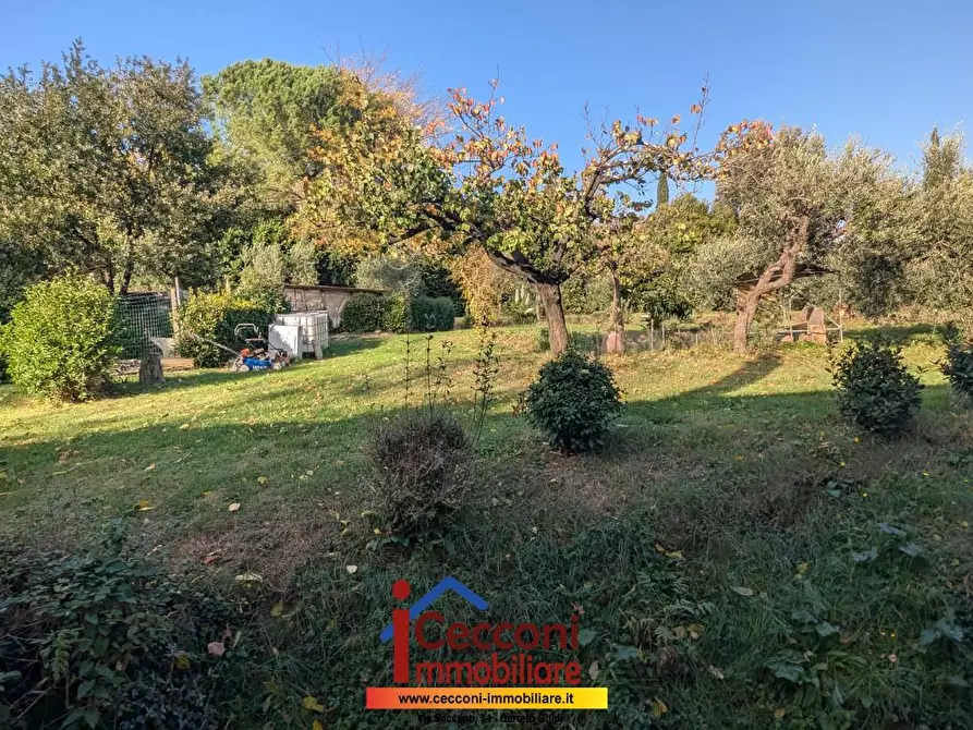 Immagine 8 di Terratetto in vendita  a Cerreto Guidi