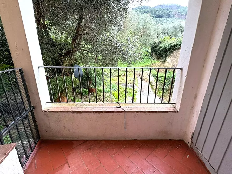 Immagine 9 di Terratetto in vendita  a Calci