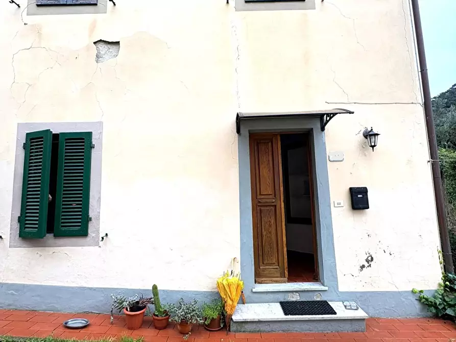 Immagine 2 di Terratetto in vendita  a Calci