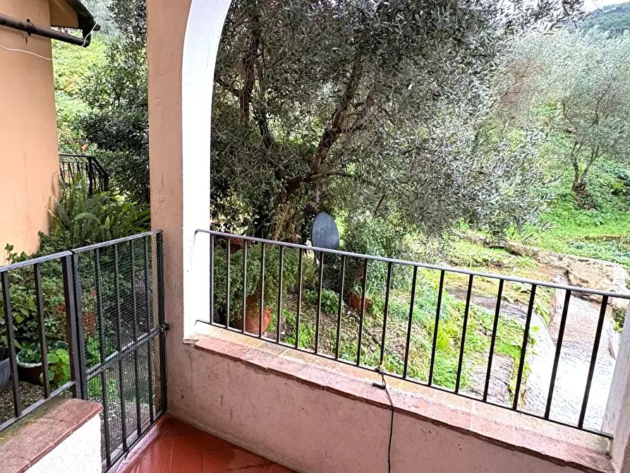 Immagine 17 di Terratetto in vendita  a Calci