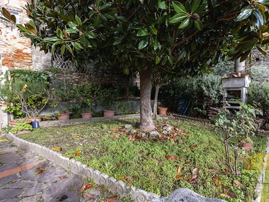 Immagine 27 di Terratetto in vendita  a Vicopisano