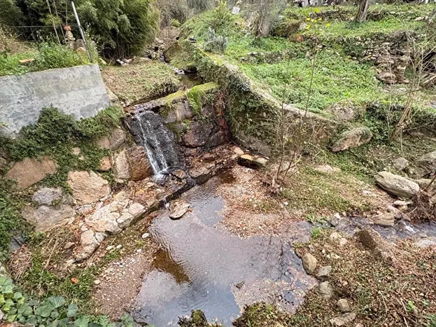 Immagine 3 di Casa indipendente in vendita  a Calci