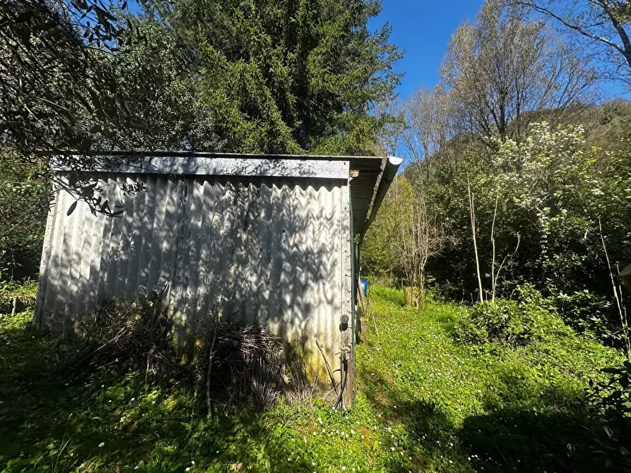 Immagine 22 di Casa bifamiliare in vendita  a Borgo A Mozzano