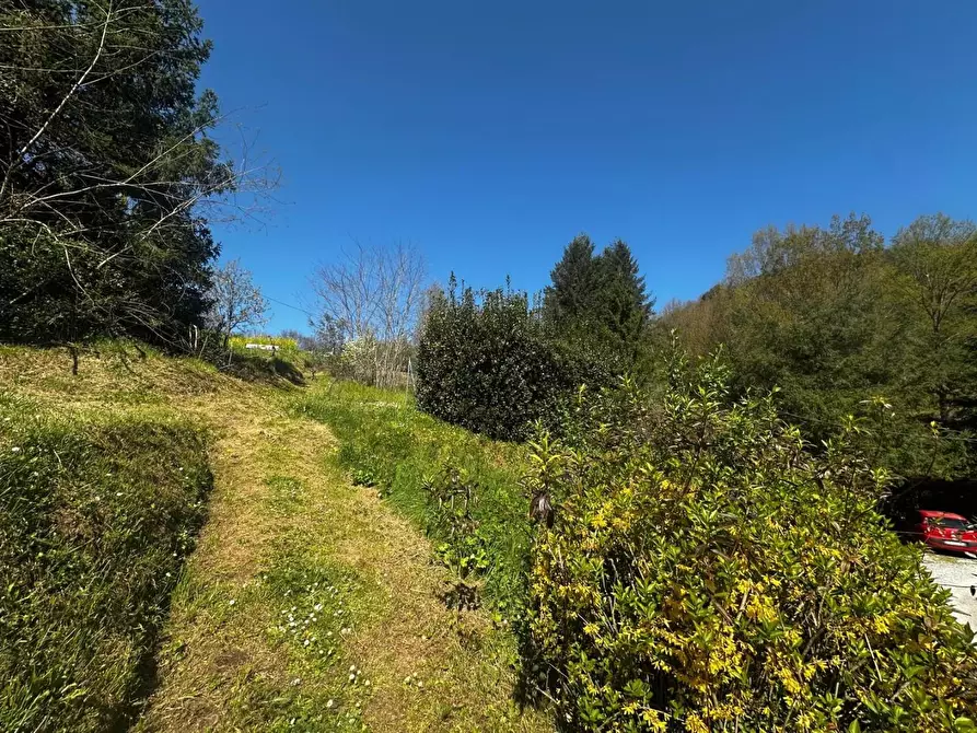 Immagine 29 di Casa bifamiliare in vendita  a Borgo A Mozzano