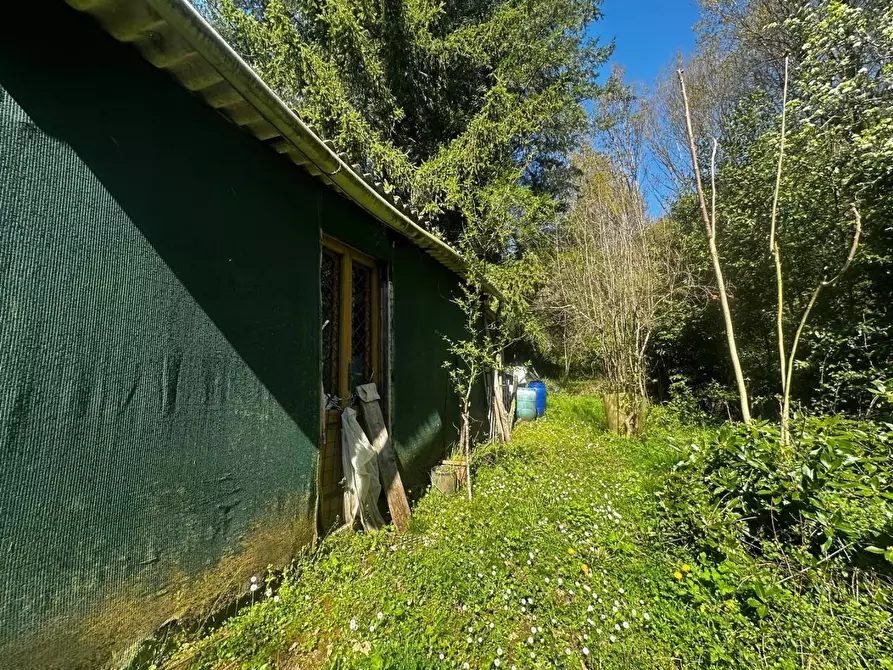Immagine 23 di Casa bifamiliare in vendita  a Borgo A Mozzano