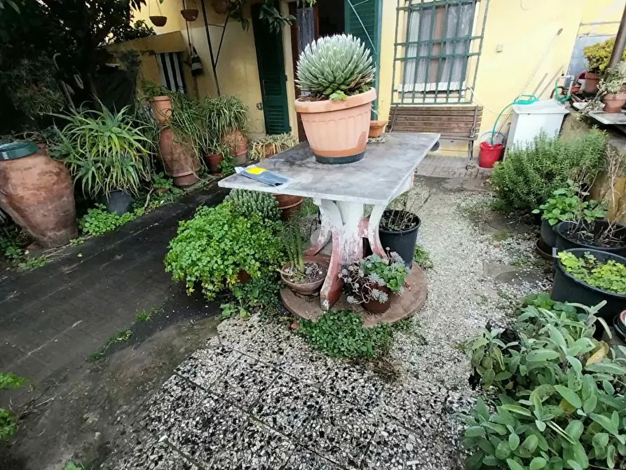 Immagine 32 di Terratetto in vendita  a Calci