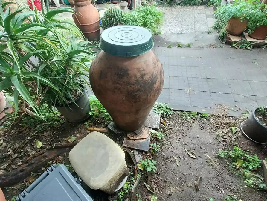 Immagine 33 di Terratetto in vendita  a Calci