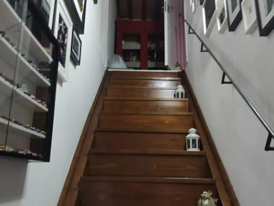 Immagine 19 di Appartamento in vendita  a Collesalvetti