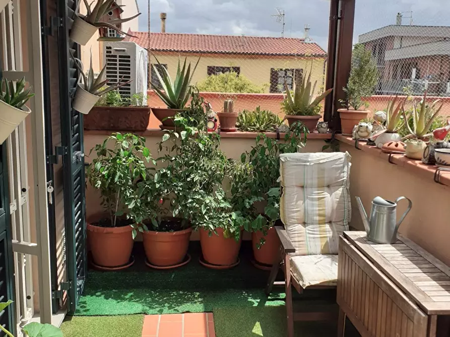 Immagine 2 di Appartamento in vendita  a Collesalvetti