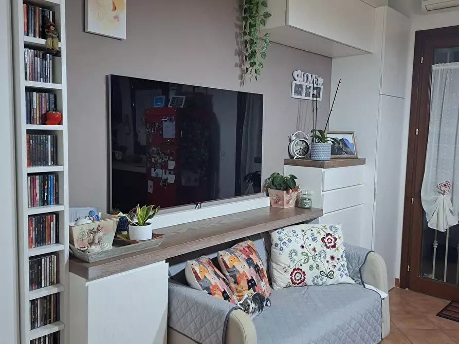 Immagine 4 di Appartamento in vendita  a Collesalvetti