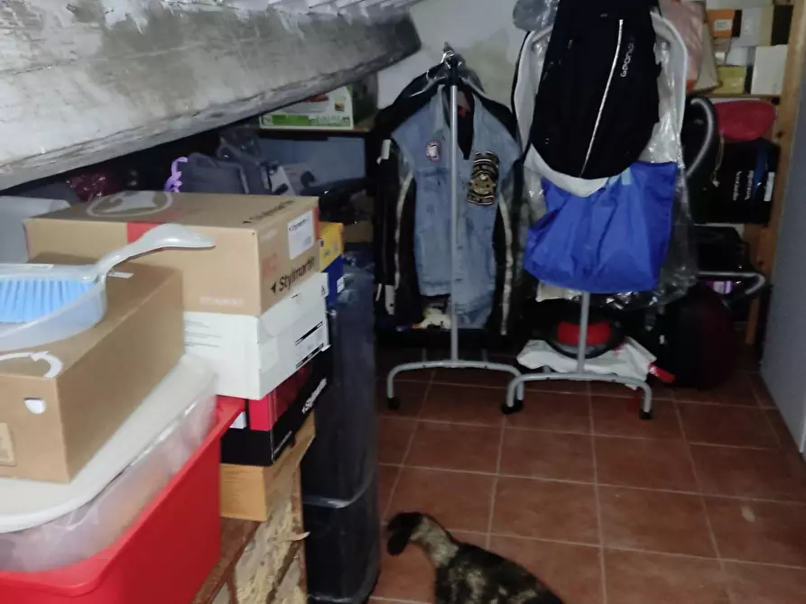 Immagine 24 di Appartamento in vendita  a Collesalvetti