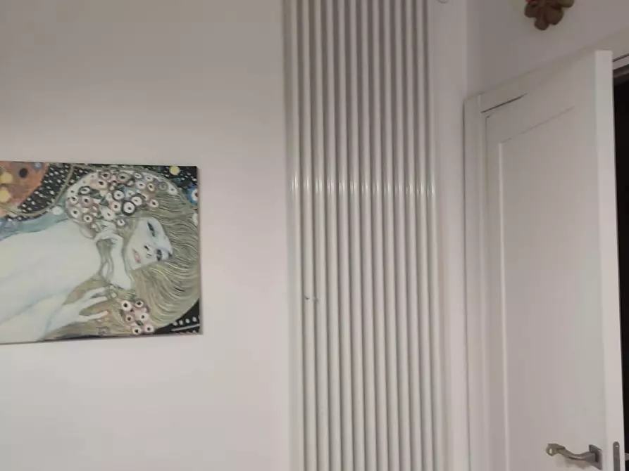 Immagine 30 di Appartamento in vendita  a Collesalvetti