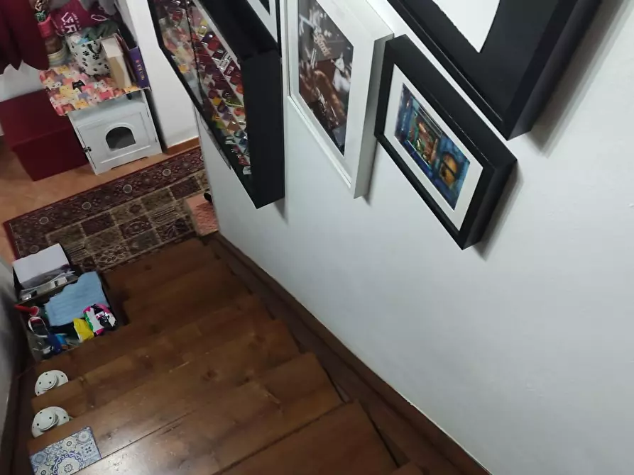 Immagine 27 di Appartamento in vendita  a Collesalvetti