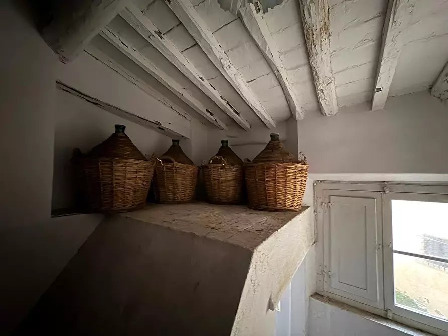 Immagine 32 di Terratetto in vendita  a Calci