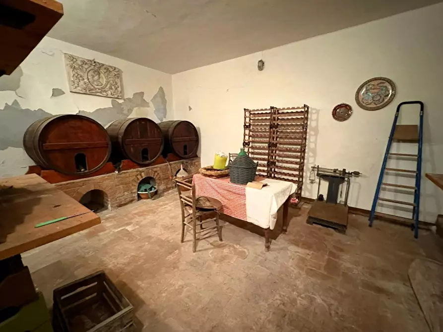 Immagine 9 di Terratetto in vendita  a Calci