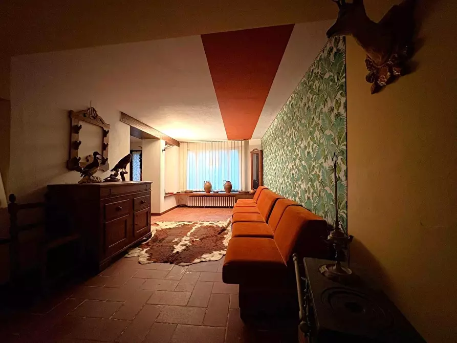 Immagine 4 di Terratetto in vendita  a Calci