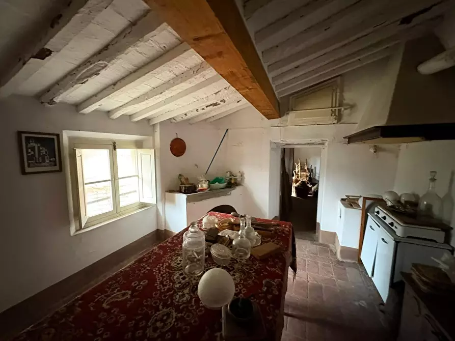 Immagine 37 di Terratetto in vendita  a Calci