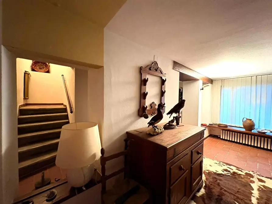 Immagine 12 di Terratetto in vendita  a Calci