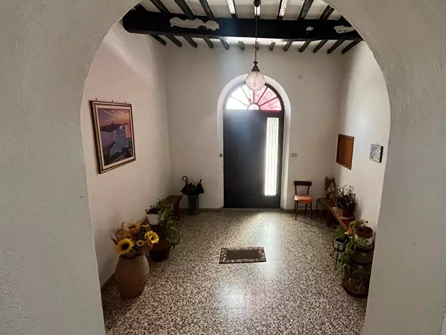 Immagine 17 di Appartamento in vendita  a Asciano