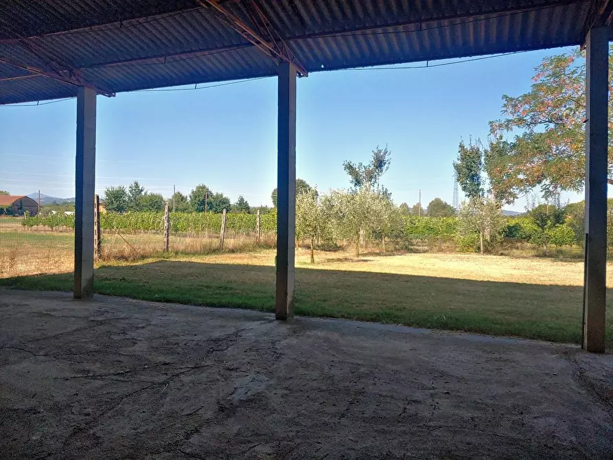 Immagine 29 di Casa colonica in vendita  a Montepulciano