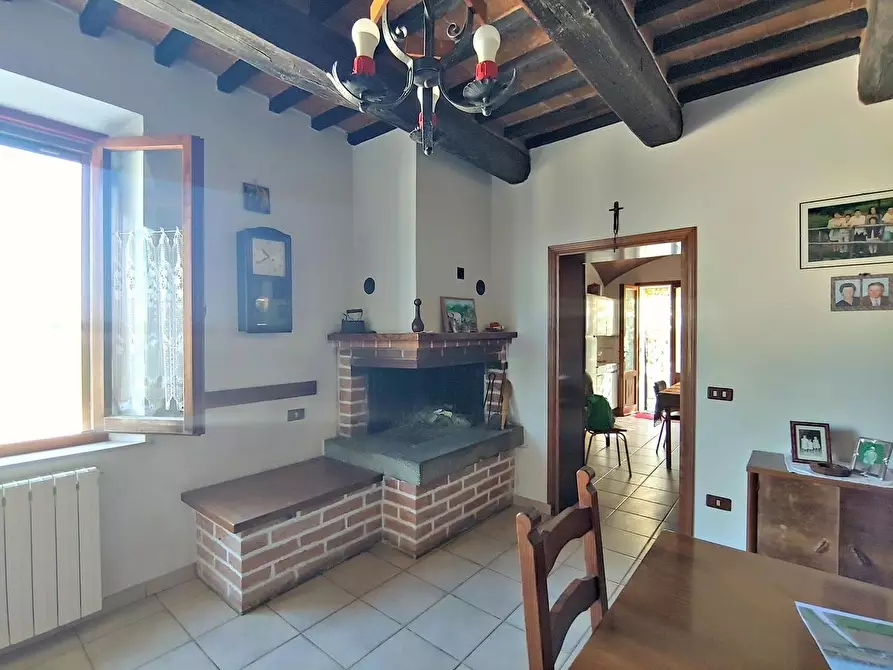 Immagine 24 di Casa colonica in vendita  a Montepulciano
