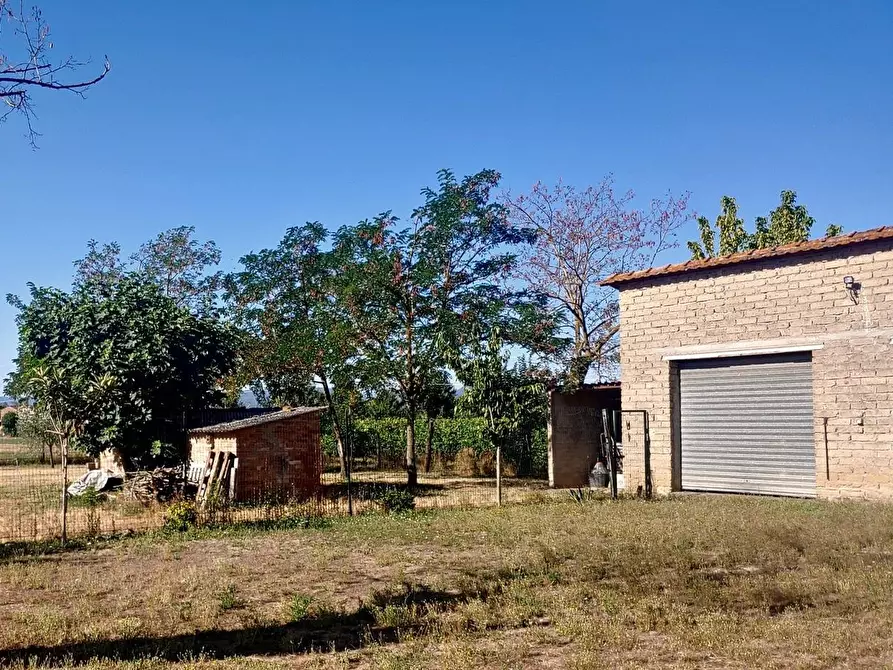 Immagine 32 di Casa colonica in vendita  a Montepulciano