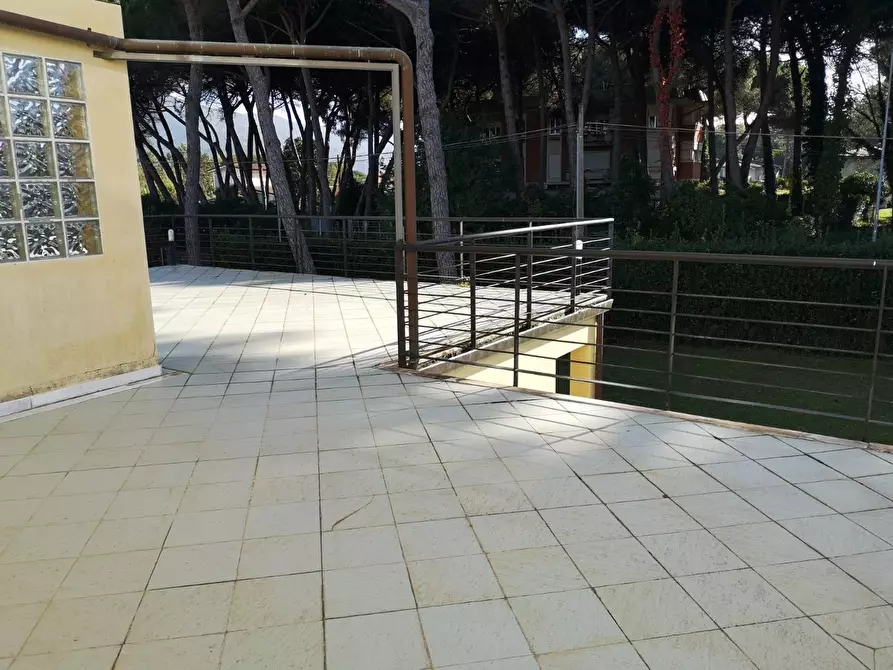 Immagine 3 di Appartamento in vendita  a Massa