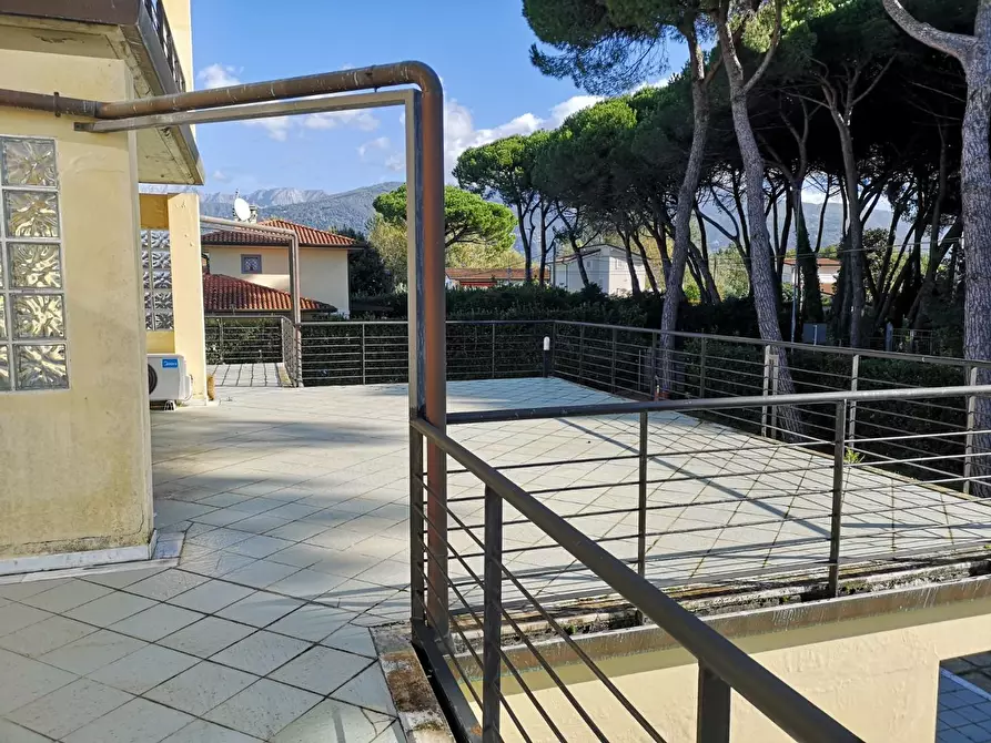 Immagine 5 di Appartamento in vendita  a Massa