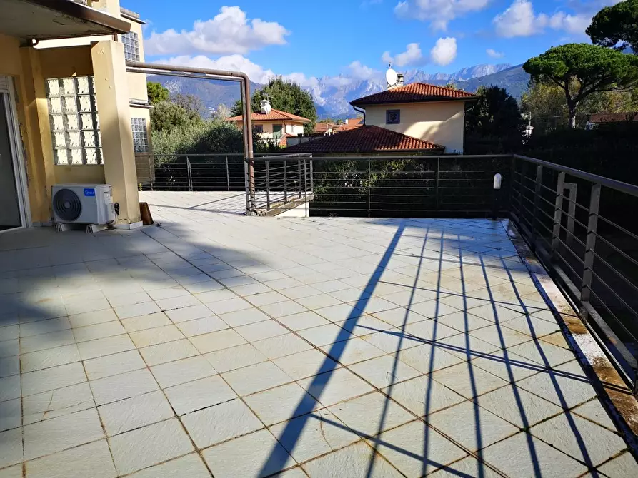Immagine 6 di Appartamento in vendita  a Massa
