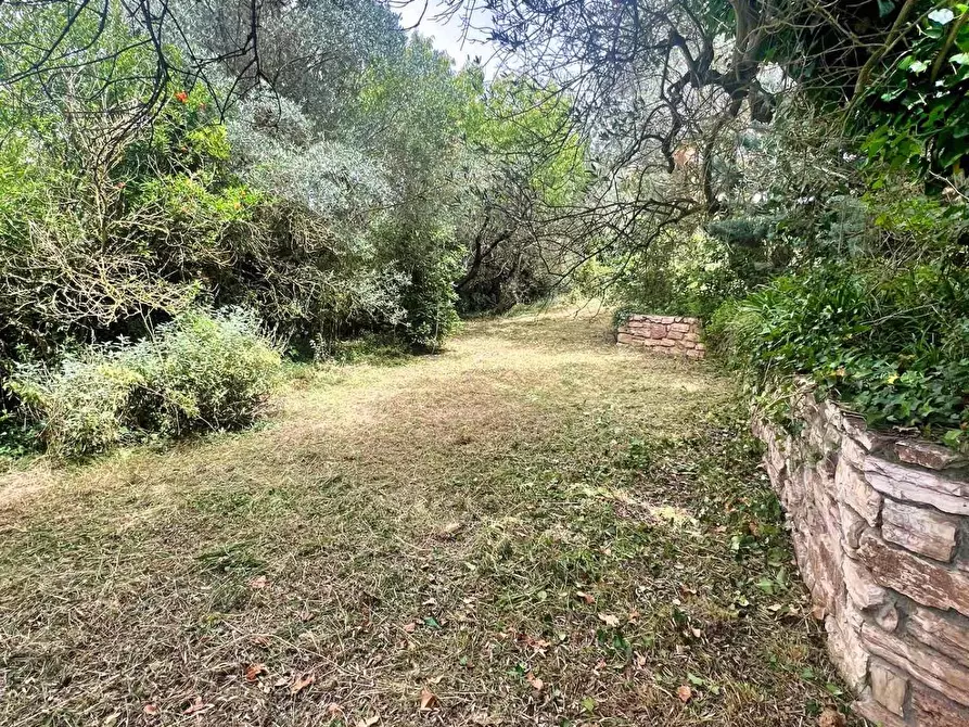 Immagine 12 di Villa in vendita  a Piombino