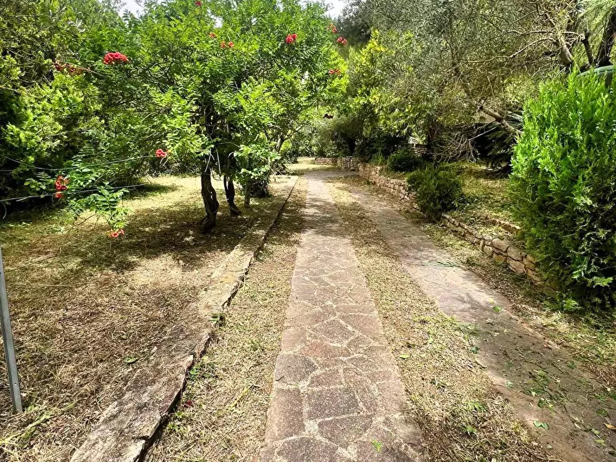 Immagine 11 di Villa in vendita  a Piombino