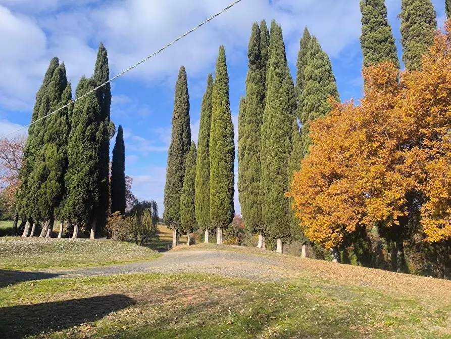 Immagine 13 di Casa colonica in vendita  a Pomarance