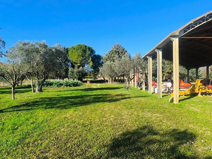 Immagine 57 di Casa colonica in vendita  a Pomarance