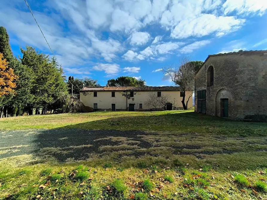 Immagine 5 di Casa colonica in vendita  a Pomarance