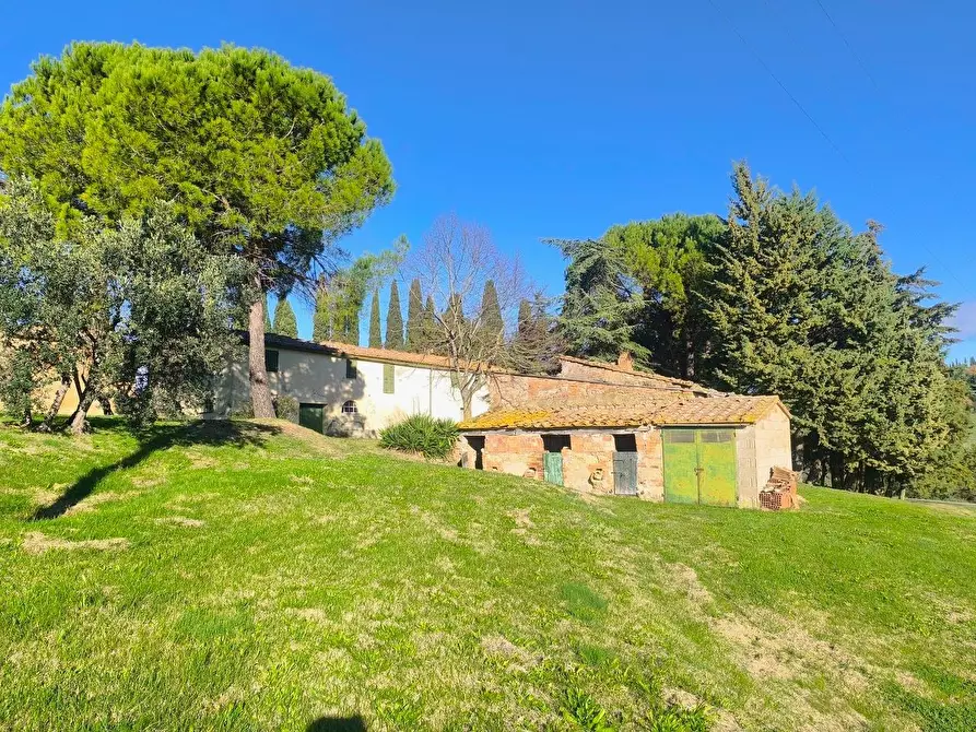 Immagine 56 di Casa colonica in vendita  a Pomarance