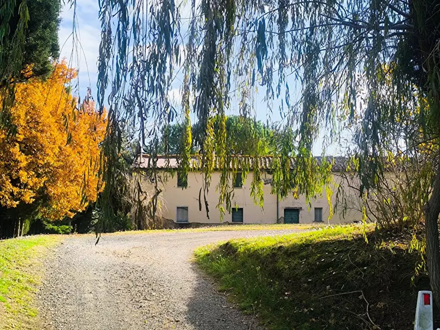 Immagine 2 di Casa colonica in vendita  a Pomarance