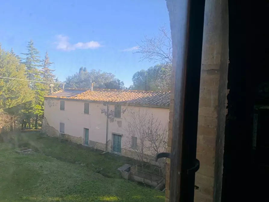 Immagine 14 di Casa colonica in vendita  a Pomarance