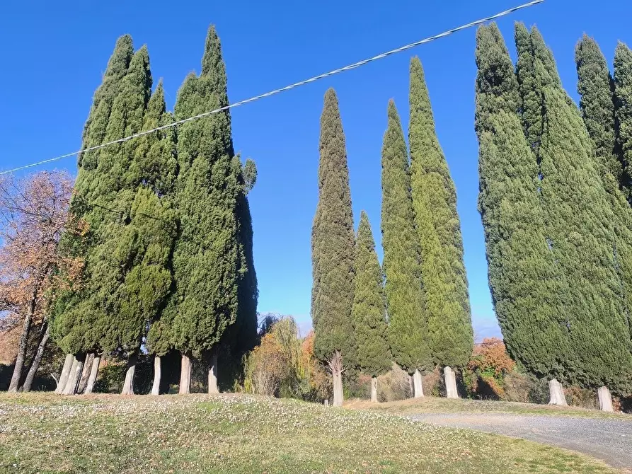 Immagine 70 di Casa colonica in vendita  a Pomarance