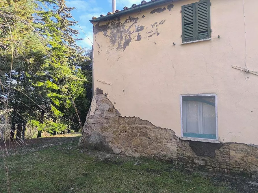 Immagine 10 di Casa colonica in vendita  a Pomarance