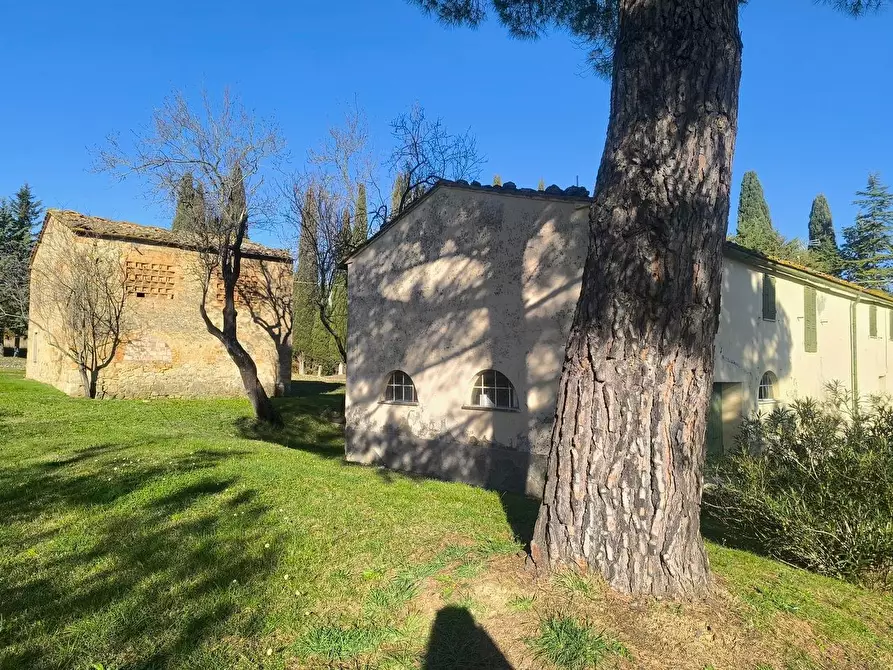 Immagine 43 di Casa colonica in vendita  a Pomarance