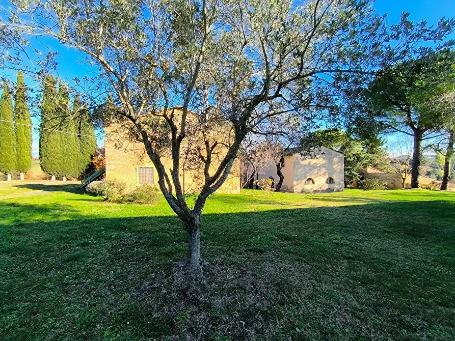 Immagine 63 di Casa colonica in vendita  a Pomarance