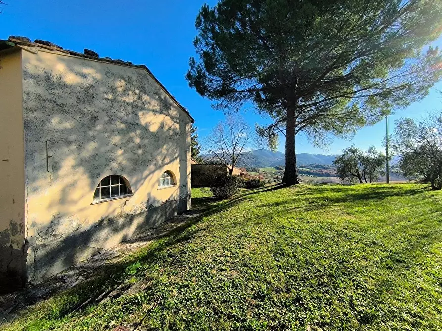 Immagine 24 di Casa colonica in vendita  a Pomarance