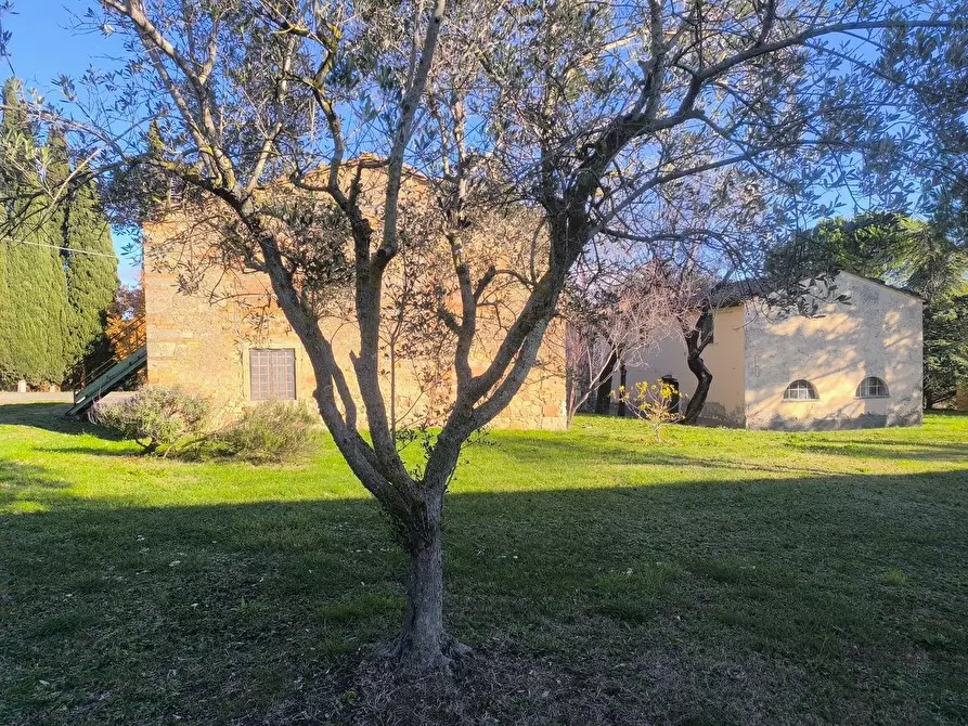 Immagine 62 di Casa colonica in vendita  a Pomarance
