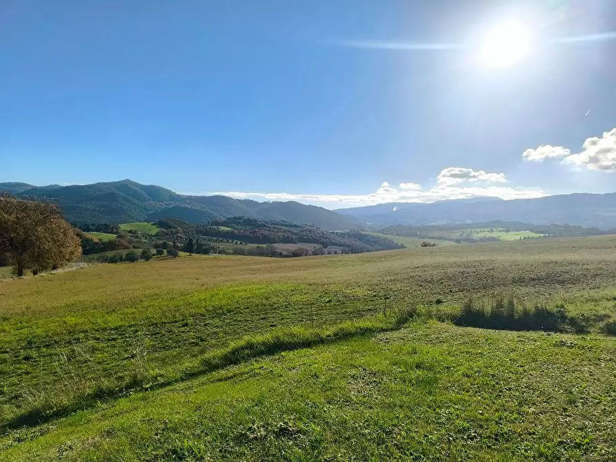 Immagine 54 di Casa colonica in vendita  a Pomarance