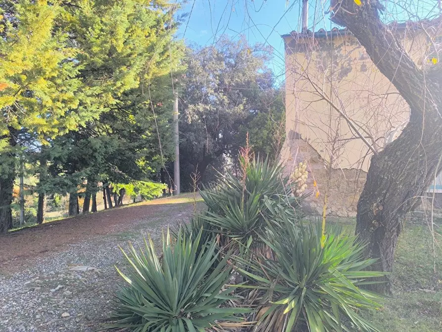 Immagine 11 di Casa colonica in vendita  a Pomarance