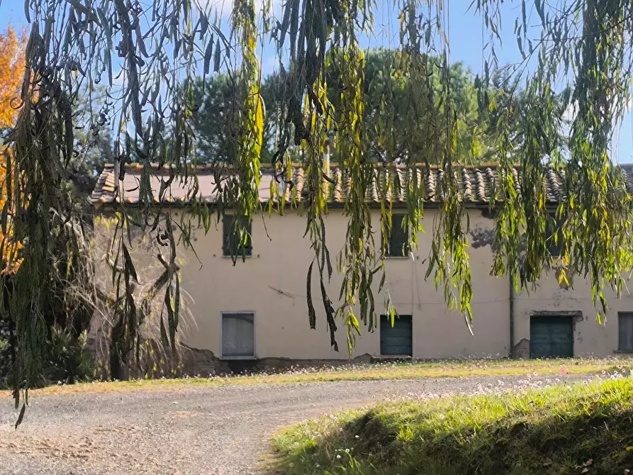 Immagine 3 di Casa colonica in vendita  a Pomarance
